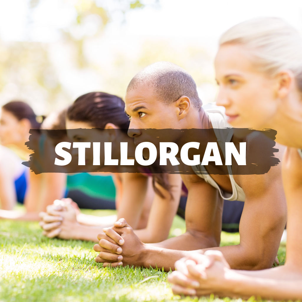 Stillorgan - 6 week course - FitnessBootcamp.ie
