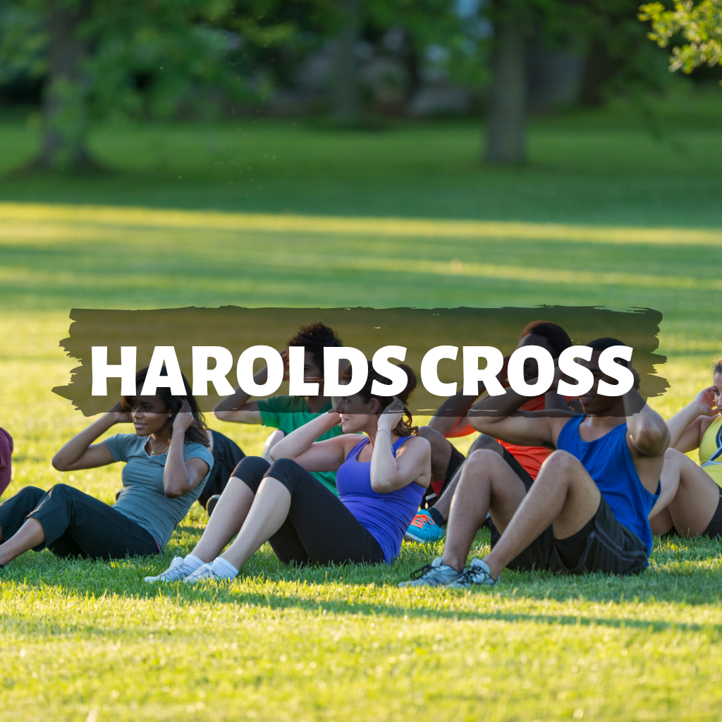 Harold's Cross Summer Challenge