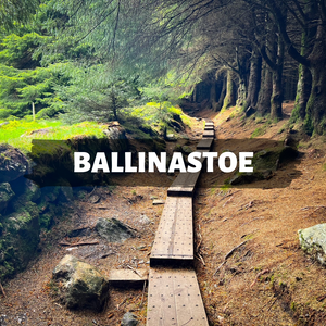 Ballinastoe Woods Hike